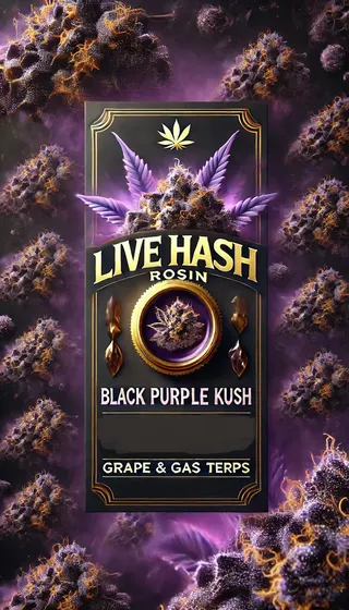 Black Purple Kush