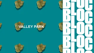 Bloc Dispensary - Valley Park