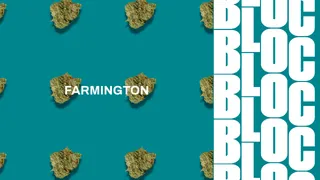 Bloc Dispensary - Farmington