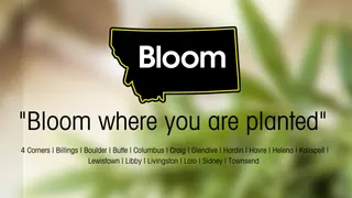 Bloom Montana -Whitefish (Coming Soon)