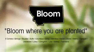 Bloom MT - Ashland