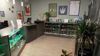 Blossoming Buds Cannabis