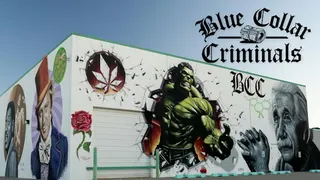 Blue Collar Criminals