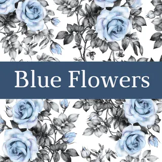 Blue Flowers Cannabis Boutique