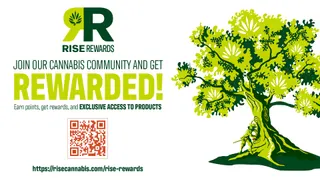 RISE Dispensaries Branford - MED