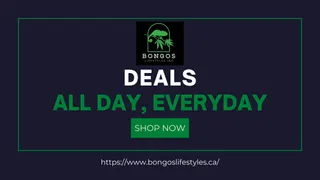 Bongos Lifestyles - Peterborough
