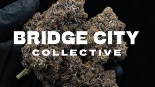 Bridge City Collective - North Portland