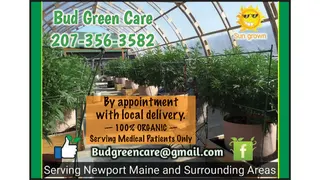 Bud Green Care