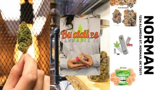 Buddies Cannabis Co