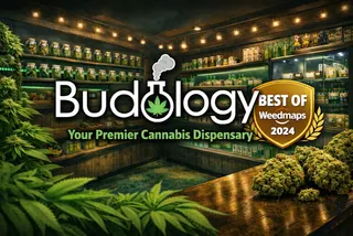 Budology