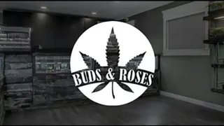 Buds & Roses