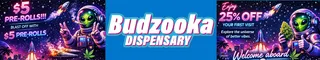 Budzooka