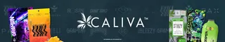 Caliva - San Jose