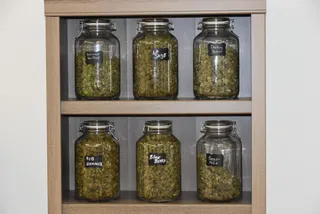 Camp Dispensary