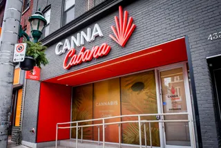 Canna Cabana - Parliament