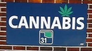 Cannabis 31
