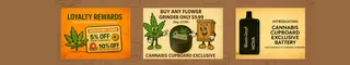 Cannabis Cupboard