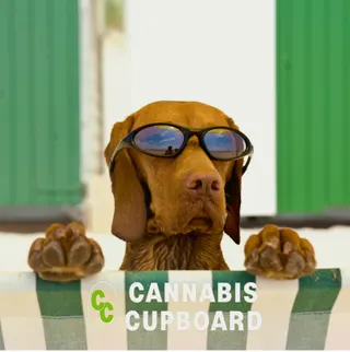 Cannabis Cupboard - Beamsville Open Now