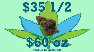 CannaBliss