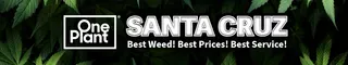 One Plant - Santa Cruz