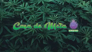 Casa De Mota