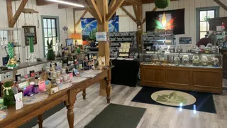 Castle Cannabis