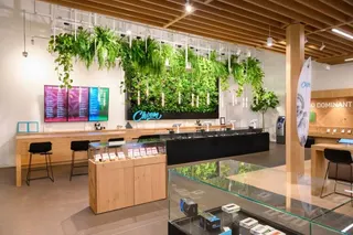 Choom Cannabis - Niagara