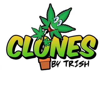 Clones by Trish