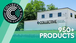 Collective - Billerica
