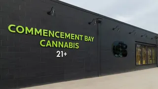 Commencement Bay Cannabis - Black