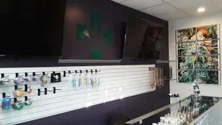 Consano