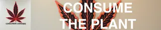 Consumers Cannabis - Pickering