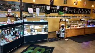 Deanz Greenz Portland - Foster