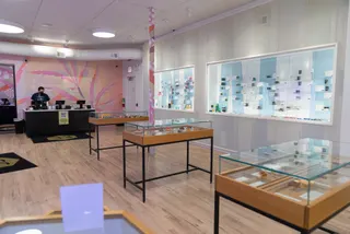 Dispensary 33