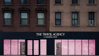 The Travel Agency: A Cannabis Store (Downtown Brooklyn)