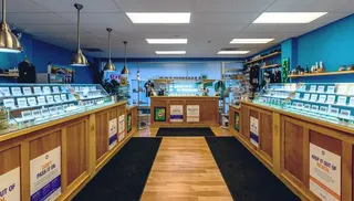 Dr. Jolly's