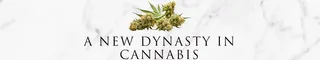 Dynasty Commodities