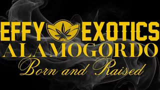 Effy Exotics - Alamogordo