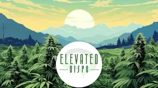 Elevated Dispo
