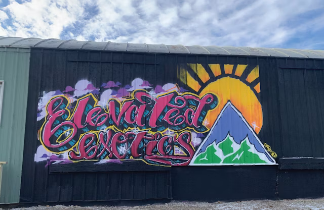 Elevated Exotics - Menominee