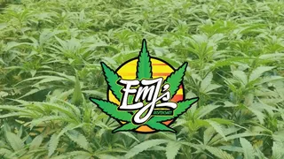 EmJ's/A Wellness Centers Medical