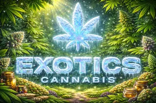 Exotics Cannabis - Adrian - NOW OPEN!