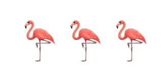 Faded Flamingo LLC