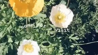 Farm Dispensary (Temporarily Closed)