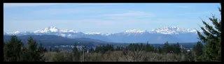 Fillabong - Silverdale