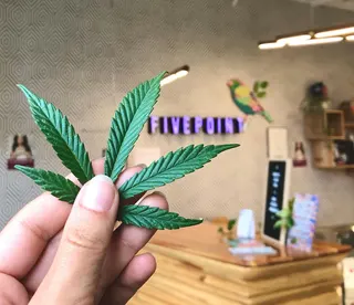 FivePoint Cannabis Bridgeland