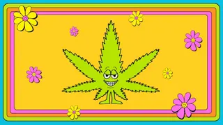 Flower Patch