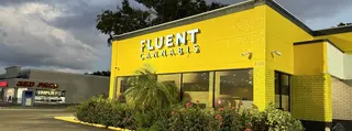 FLUENT - Brandon