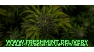 Fresh Mint - Delivery
