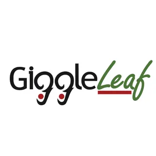 Giggle Leaf